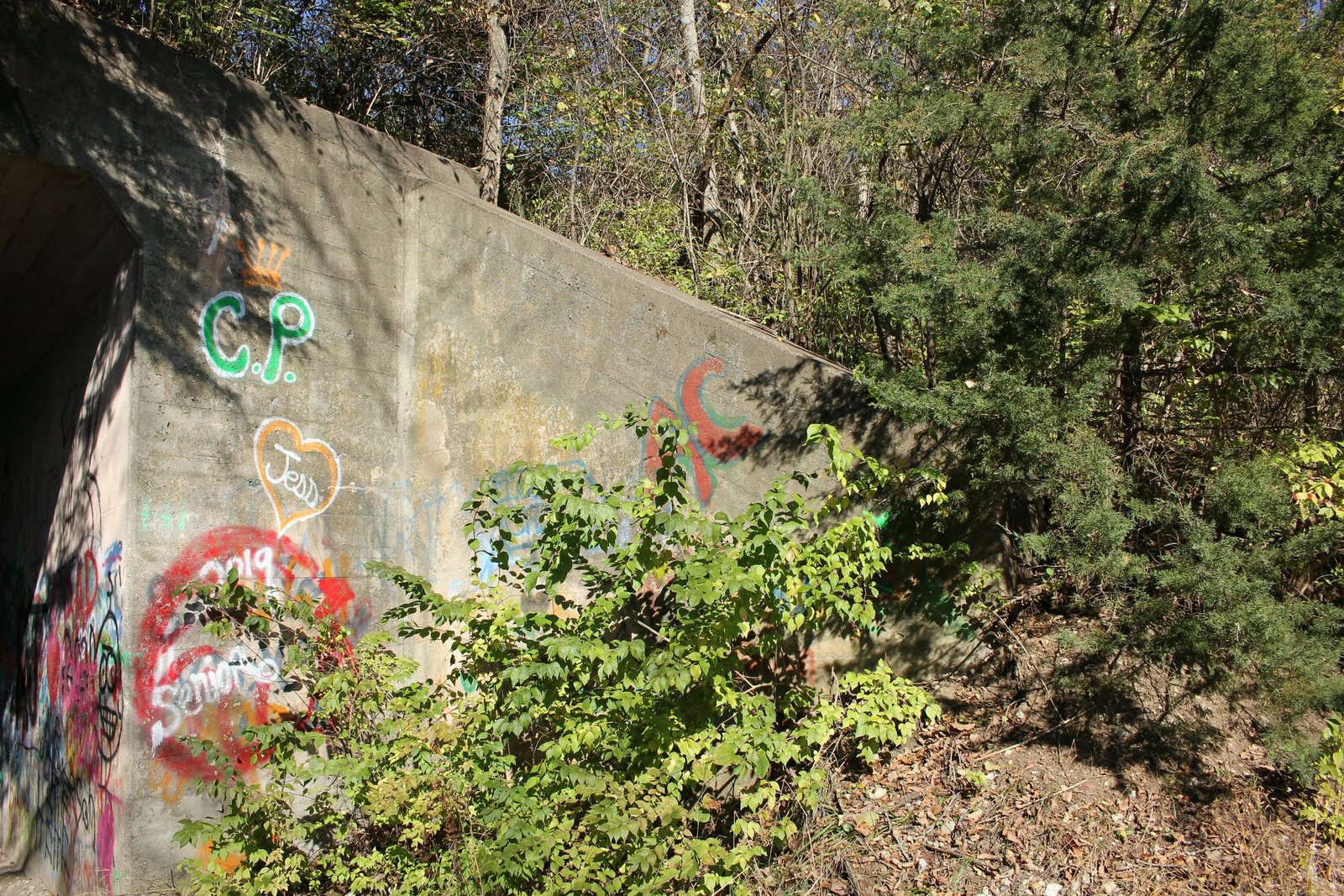 Southeast wing wall